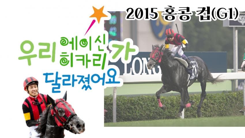 핫산) 2015 홍콩 컵 - 우리 에이신 히카리가 달라졌어요