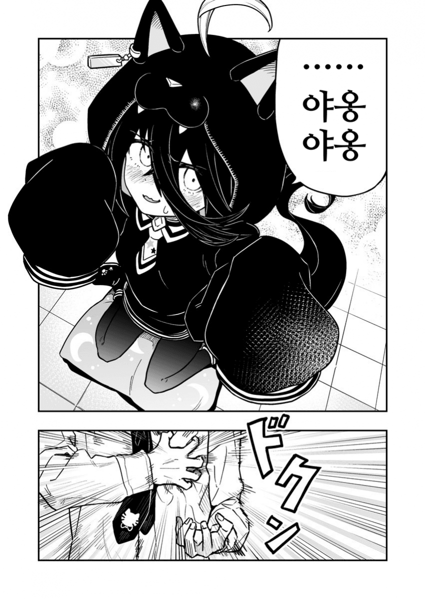 [キミヒツジ]카페의 야옹야옹