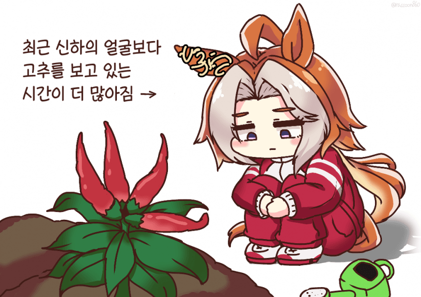 [仙覇山] 폭군과 고추