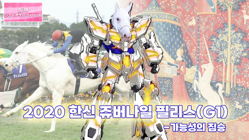 심플한 다음 경마 핫산 썸네일.png