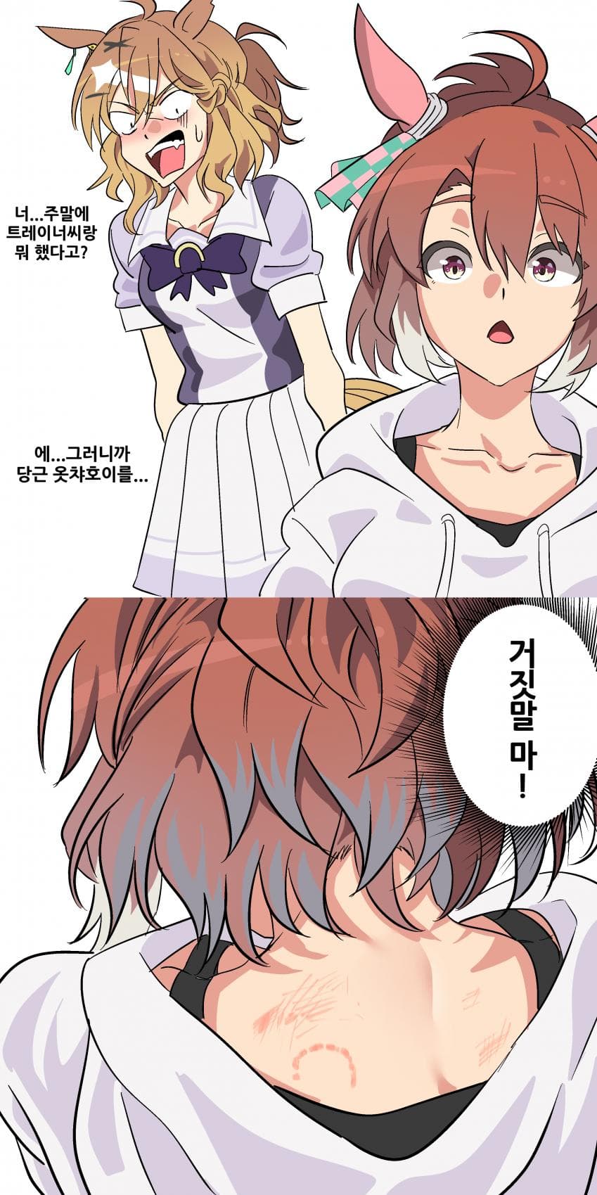 단츠순애