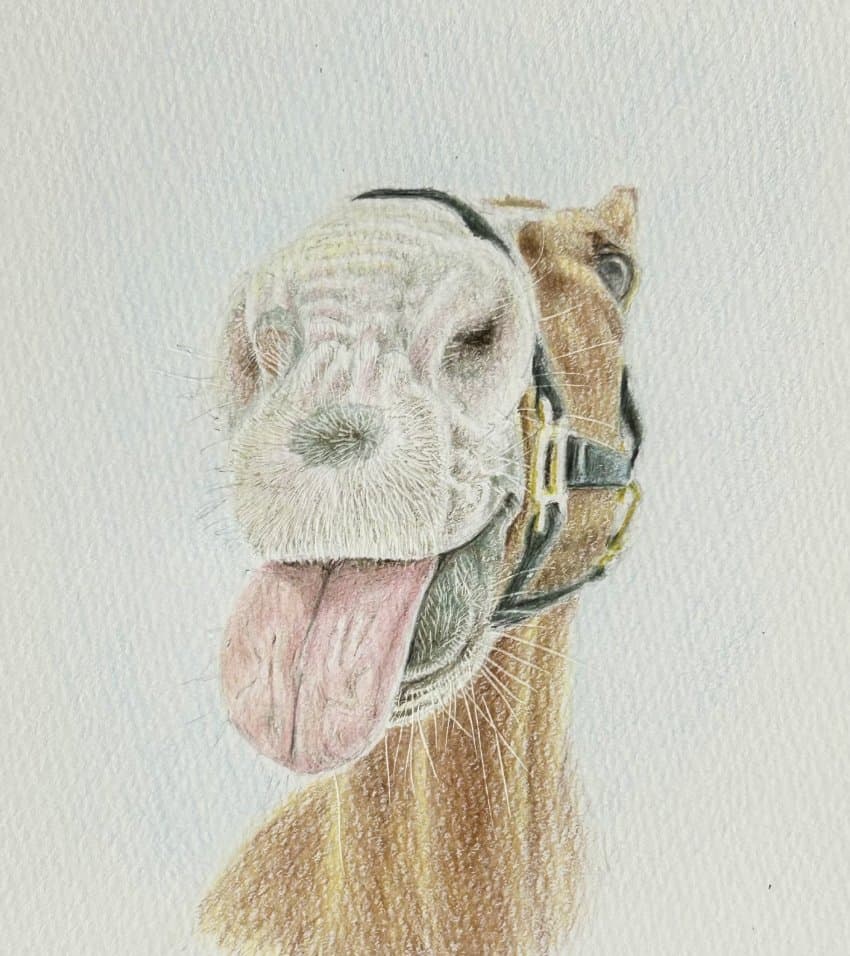 오켄 브루스 리 그림