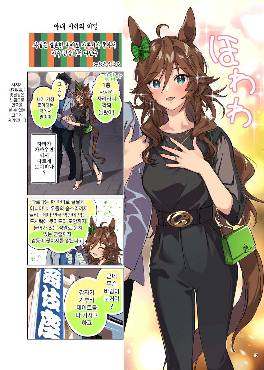 [たろうまる]우마요메 5R, 미스터 시비