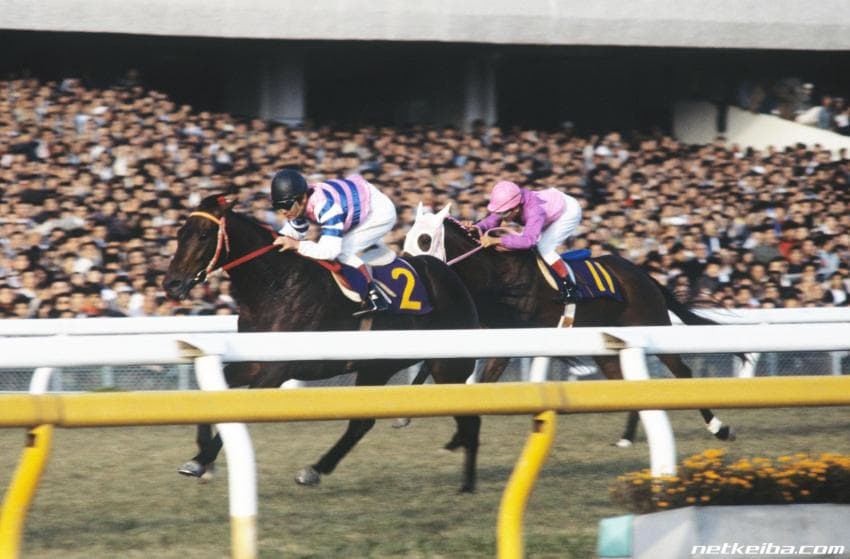핫산)1984 재팬 컵 - 카츠라기 에이스 / 에이스를 노려라!