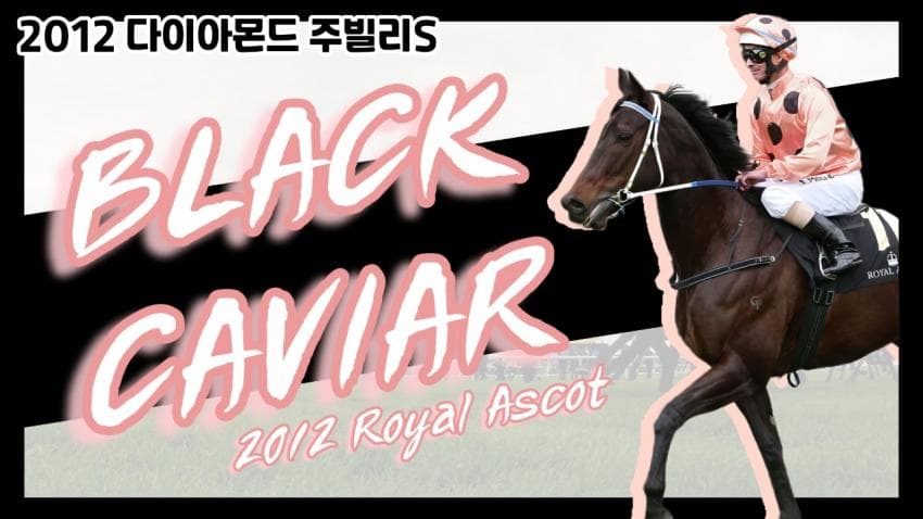 핫산)12 다이아몬드 주빌리S - 블랙 캐비어 / 원더 프롬 다운 언더