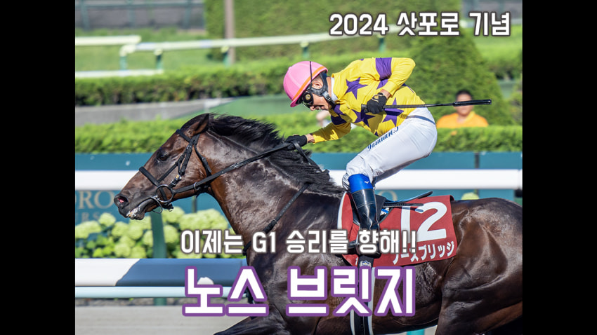 핫산) 노스 브릿지 - 24 삿포로 기념 「G1으로 향하는 다리」