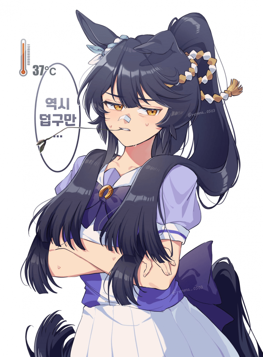 [れんま]머리숱이 많을수록 덥게 느껴진다