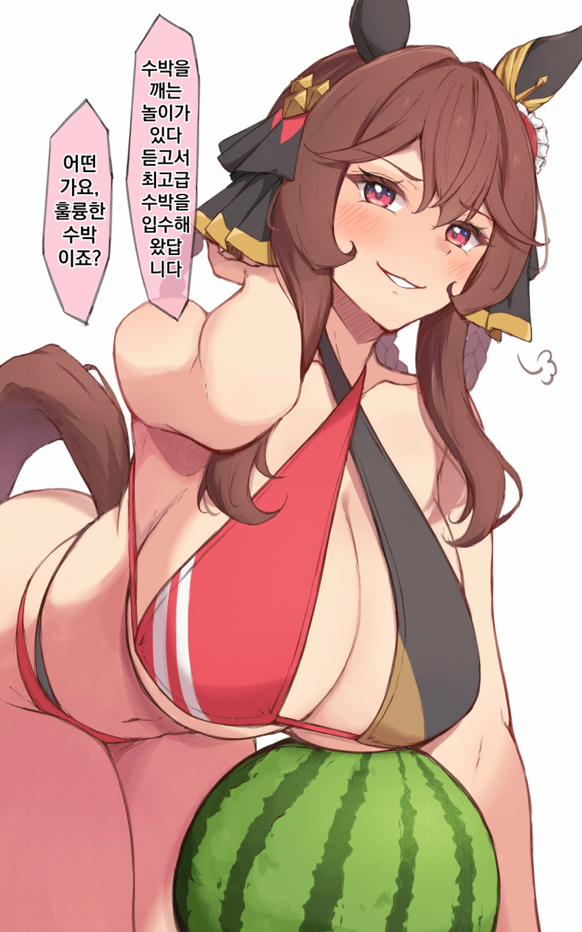 [あんず]아주 훌륭한 수박