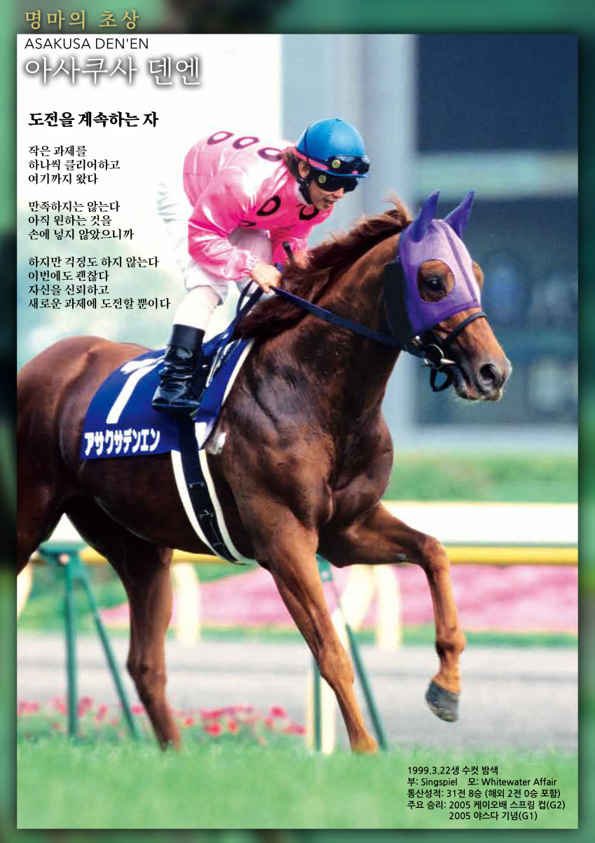 핫산) JRA 명마의 초상 - 아사쿠사 덴엔