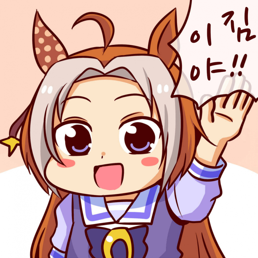 [Ervin]오르페브르