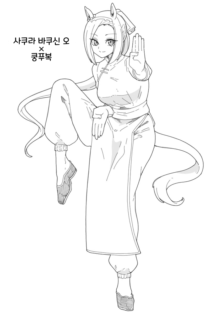 [ダスカスキー4世]박신×쿵푸복