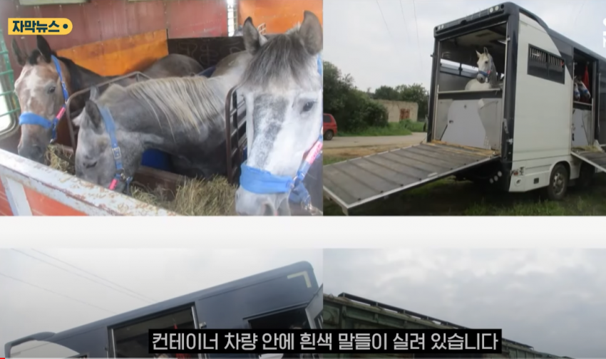 말붕이들 화나는 짤 가져옴.png