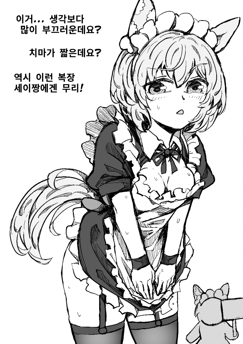 메이드 세이짱 "치마가 짧은데요?"