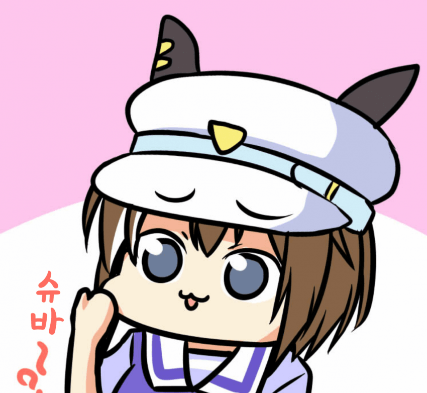 [Ervin]슈바치