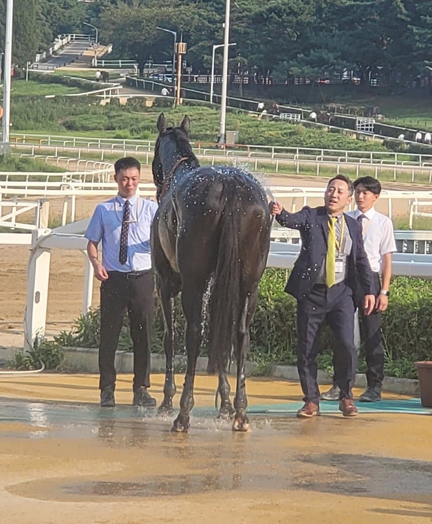 좋은 후기들 많으니 난 짤 하나만