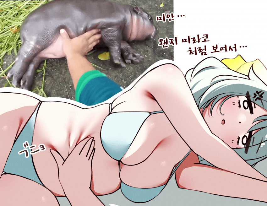 [ぽんたの毛玉]미안해 미라코...