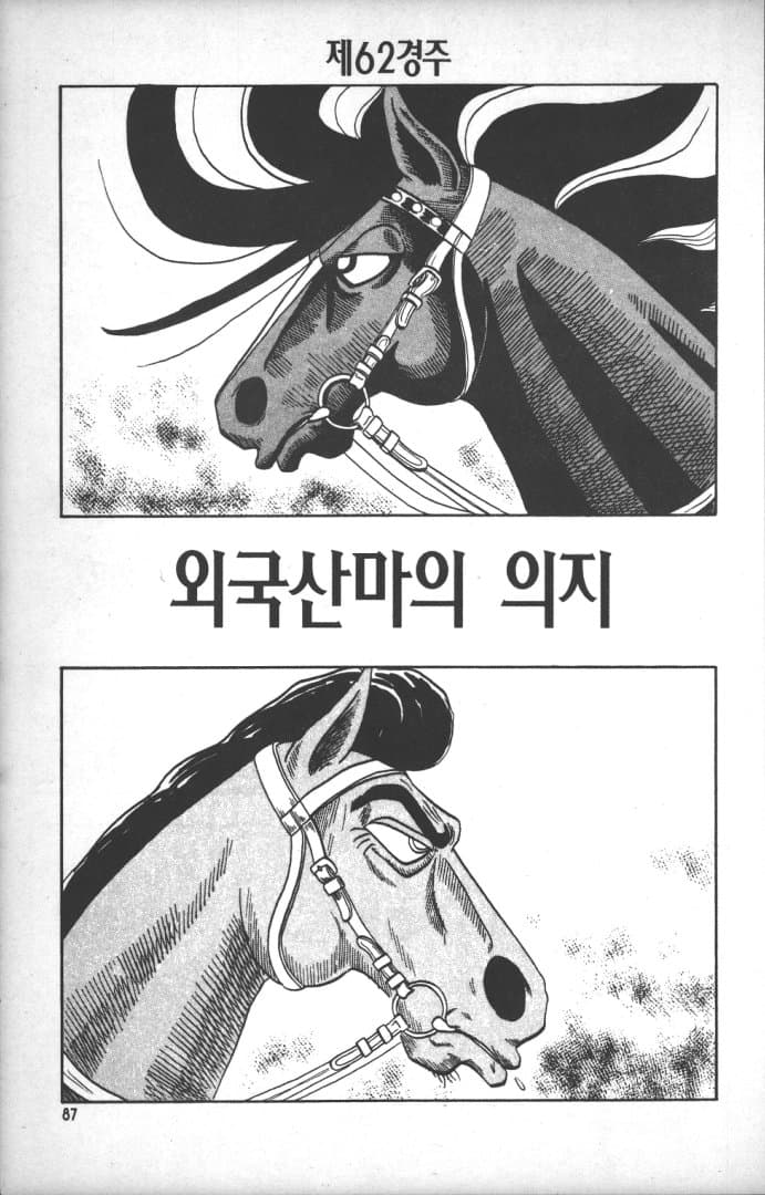 푸른날의 마끼바오 - 62(NHK 마일)