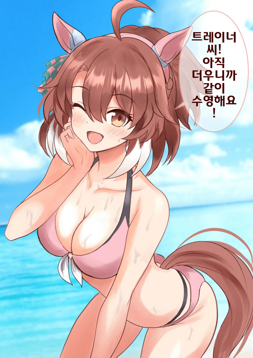 [まぐ]단츠 플레임과 바다