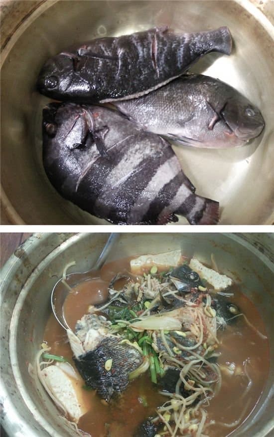 말딸들이 사람을 죽인 이유