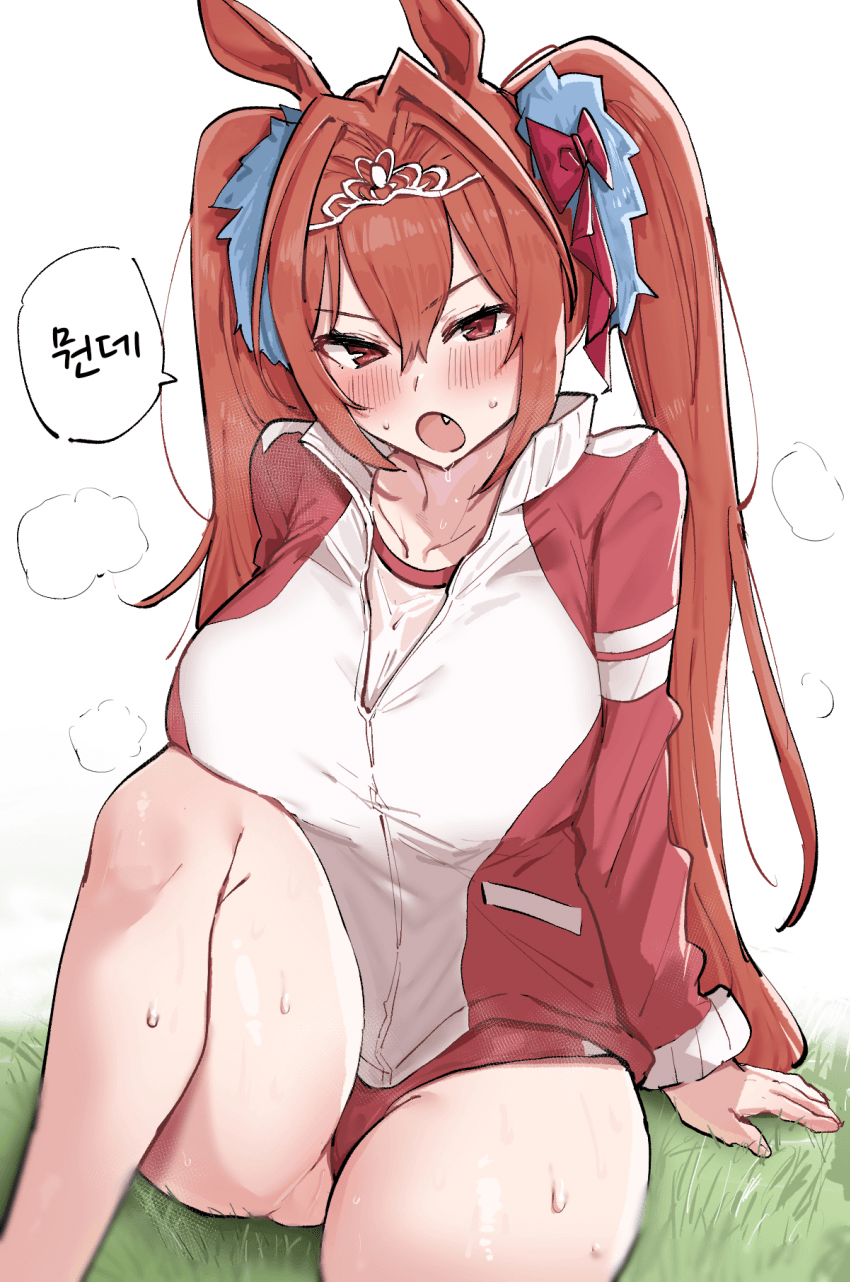 [こびんびん]땀으로 습도 올리는 다스카 모음