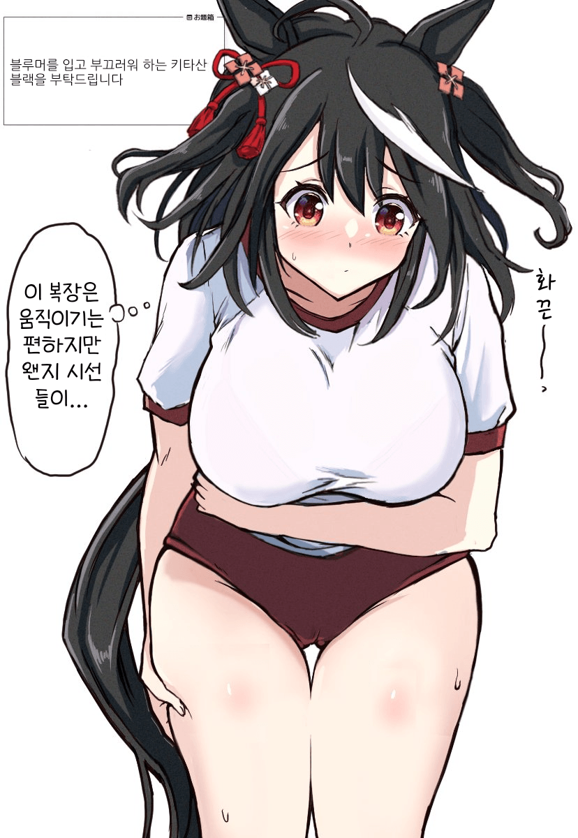 [ここら]블루머 키타산