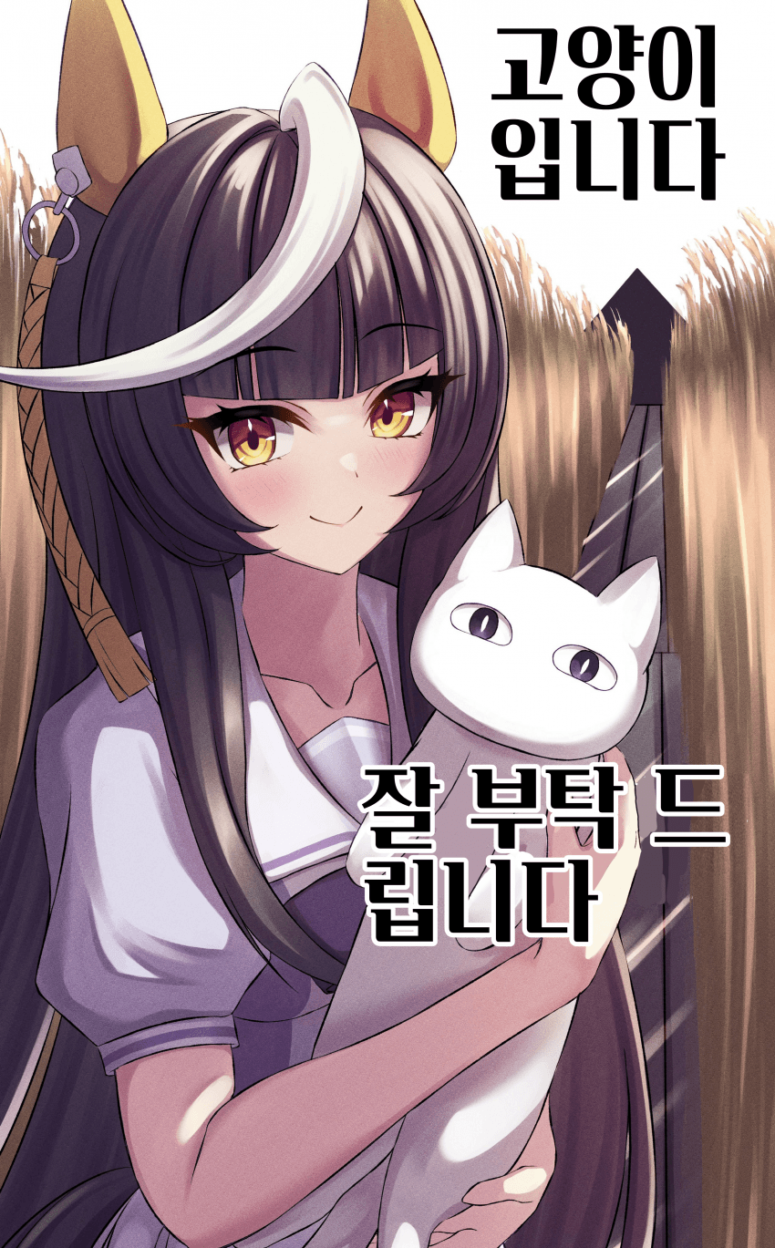 [Sonicxeon]고양이 입니다