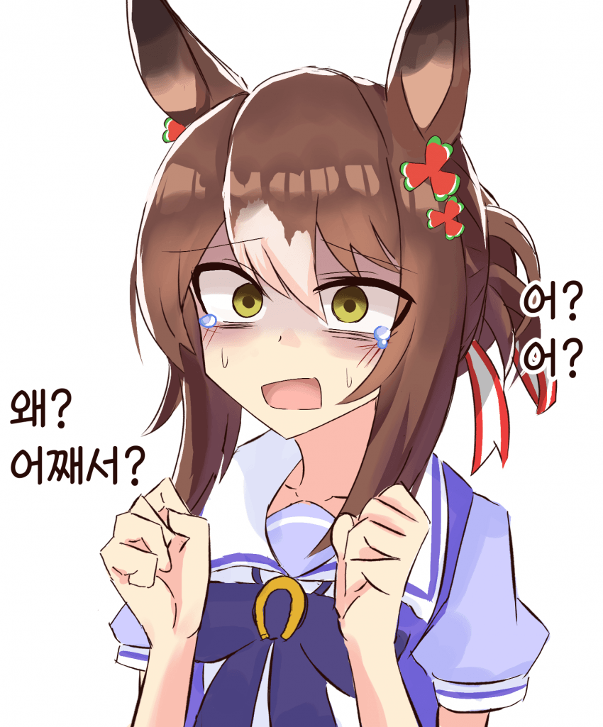 [いるか] 계약 해지