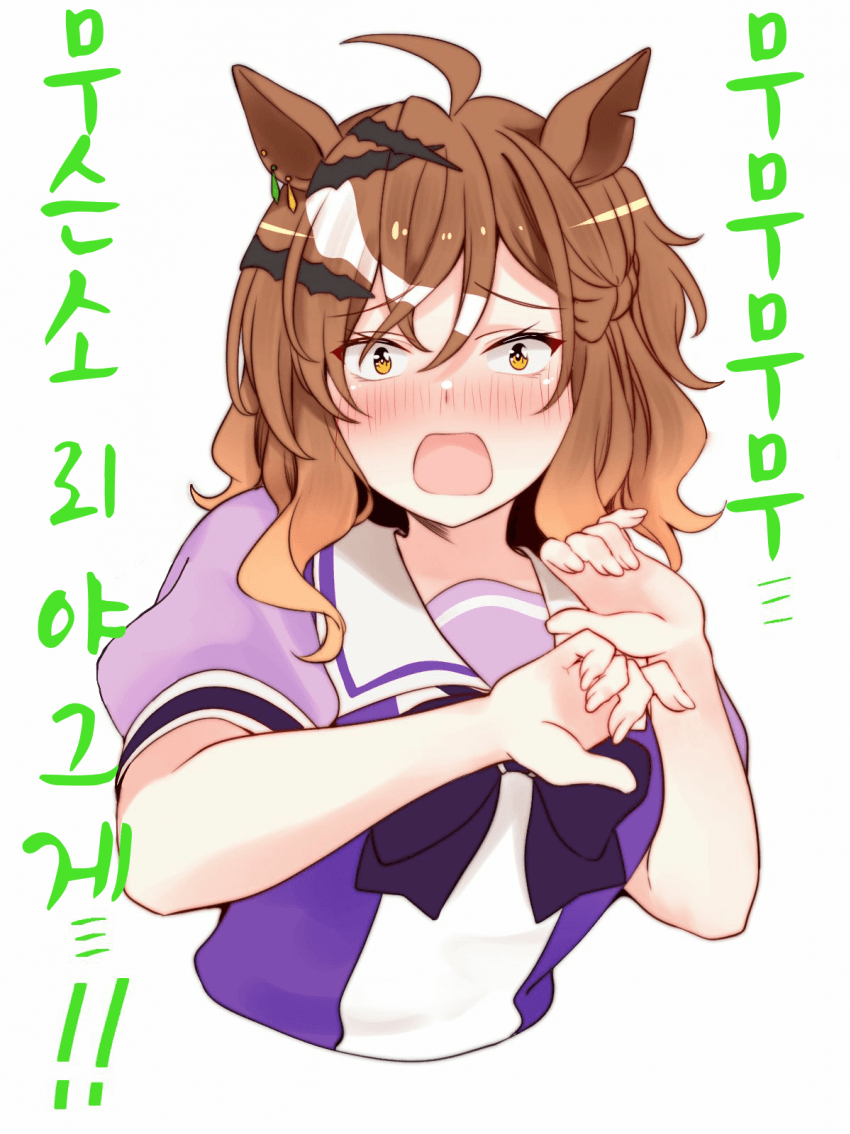 [藤田はやお]부끄 포켓