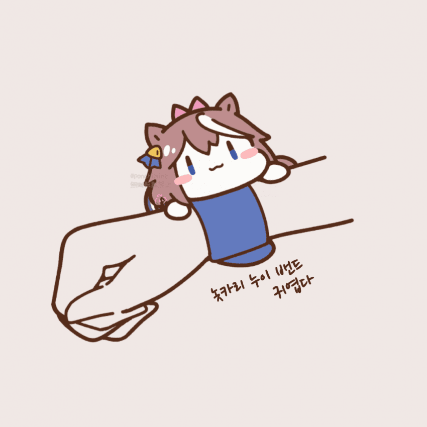 [しらほし]놋카리