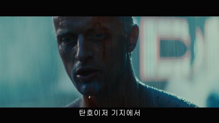 디시 다이스 스레) 우마로이드는 전기양의 꿈을 꾸는가?