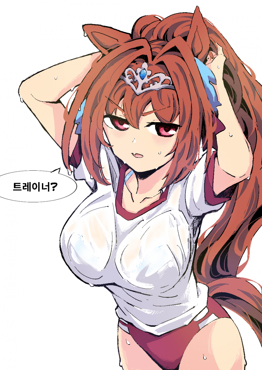 "나대지마 다이와 스칼렛"