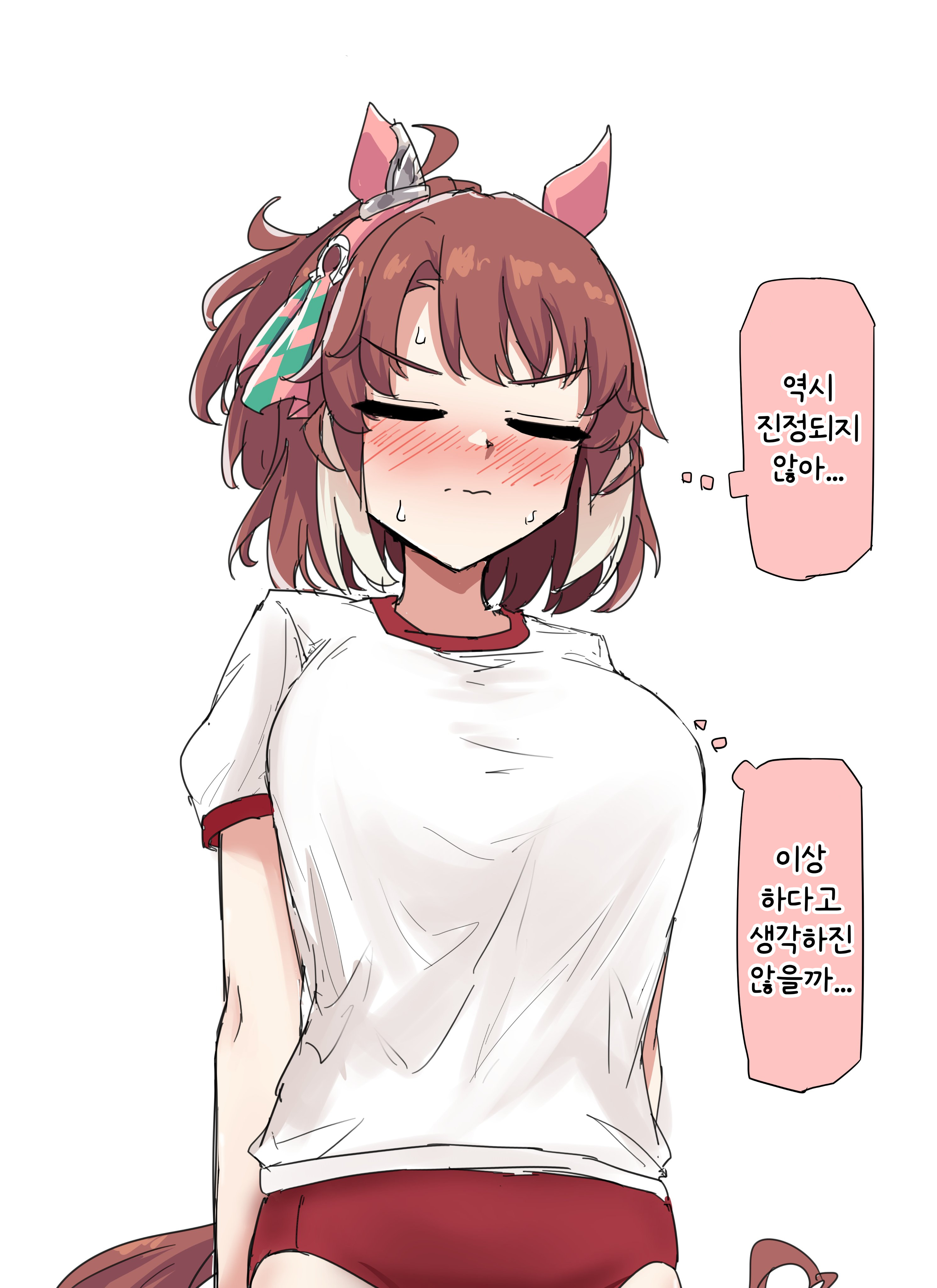 [グレイブックス] 부르마를 입은 단츠