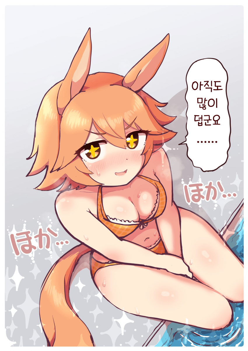 [しもゆき]후쿠키타루