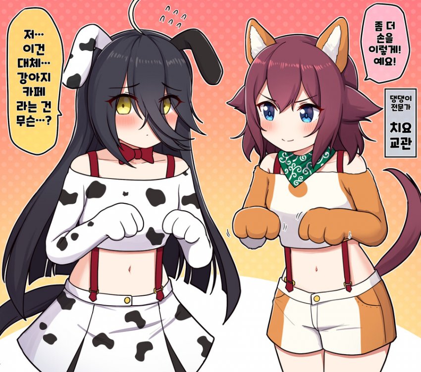 (괴문서/핫산) 강아지 vs 고양이