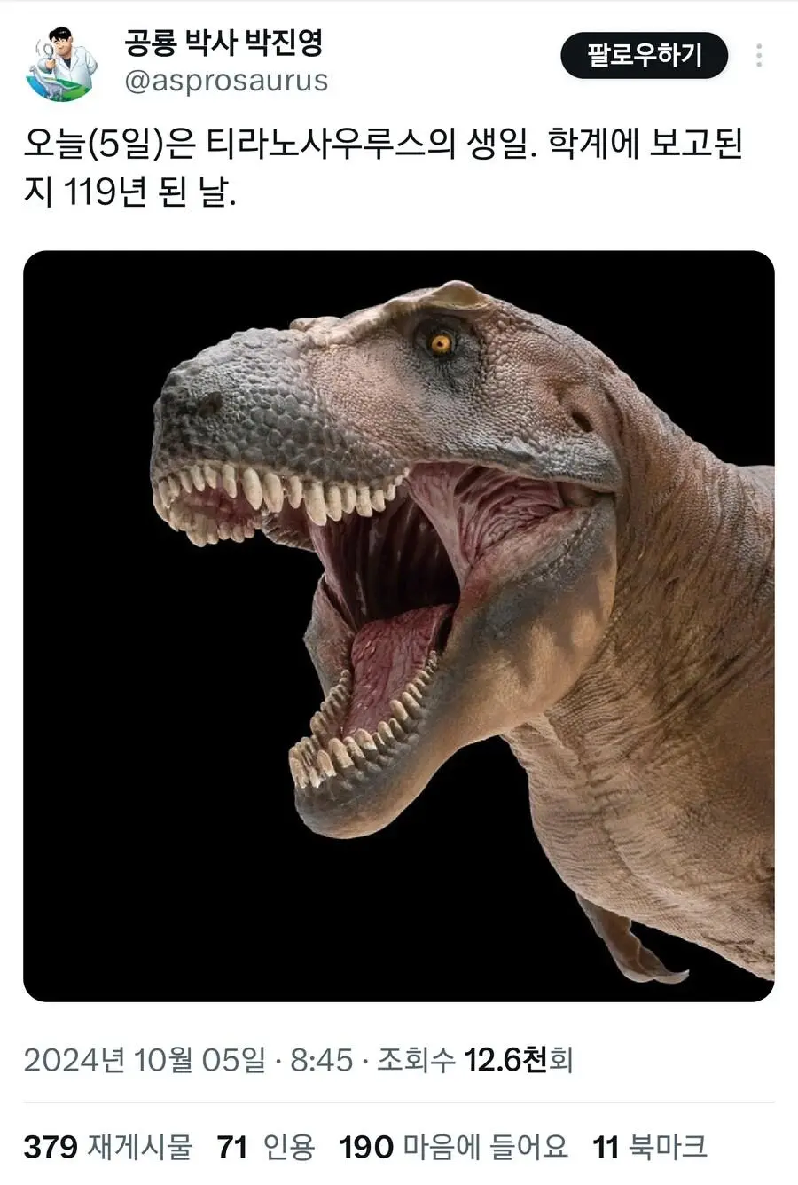 디시 다이스 스레) "슈발 그랑을 절명의 위기에서 구해라"
