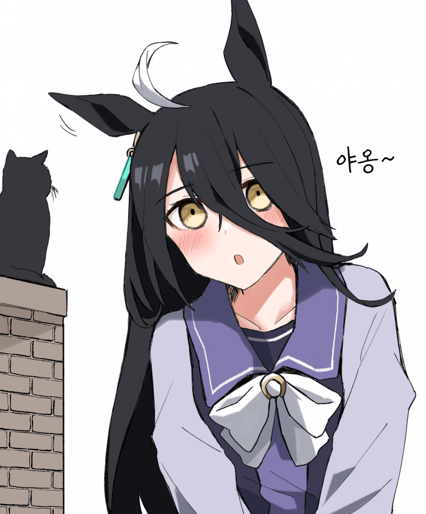 [ひとで]고양이 vs 카페