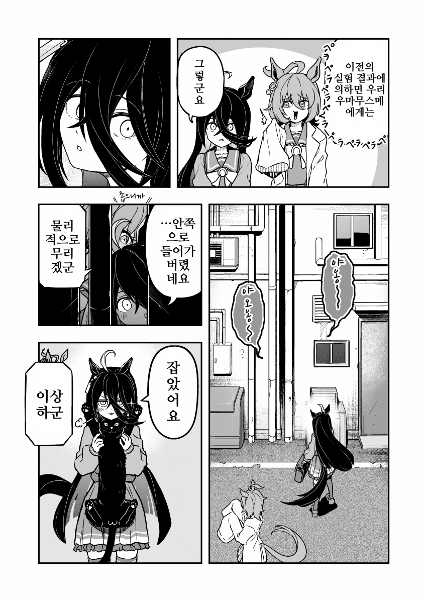 [キミヒツジ]카페는 좁은 길도 잘 지나다닐것 같다