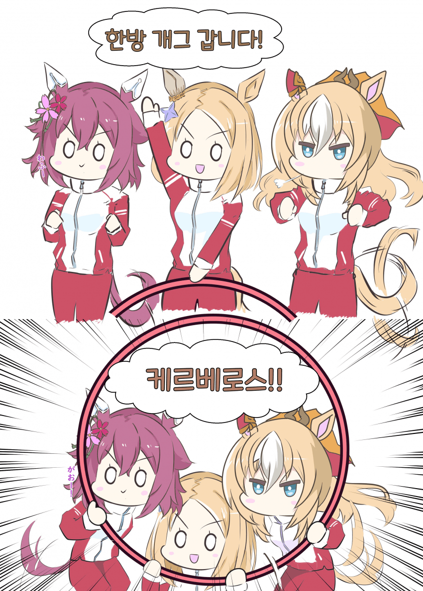 [ぐてぃー]강아지들의 한방 개그