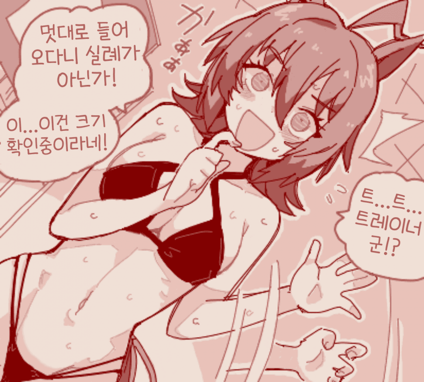 [ツバキ]수영복 타키온