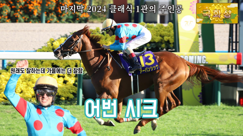 핫산) 어번 시크 - 24 킷카상 「2024 마지막 1관」