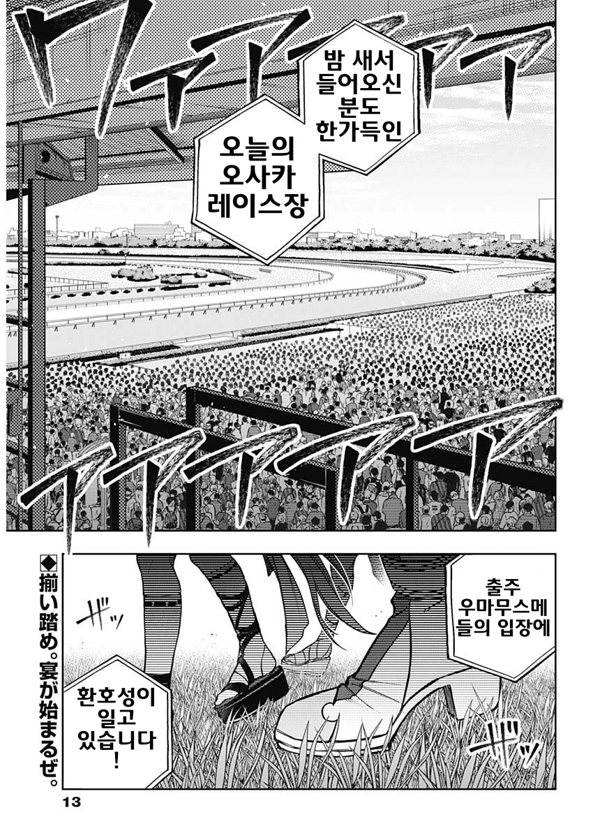 신데렐라 그레이 164R