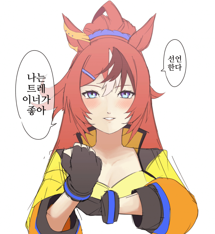 [毛玉]선언한다