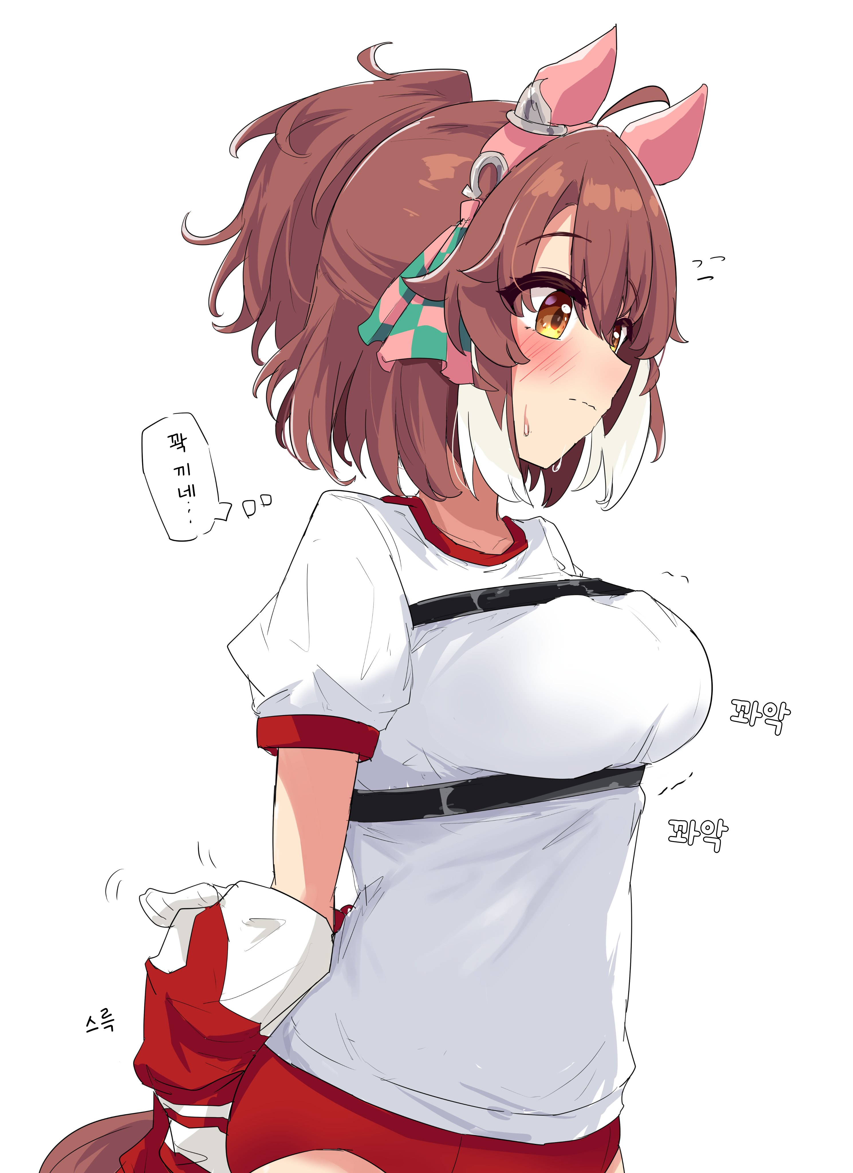 [グレイブックス] 벨트 단츠