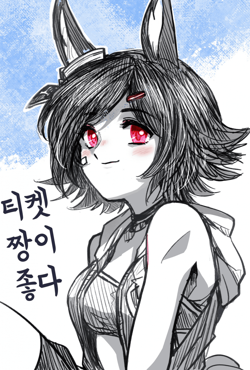 [しずま]티켓짱이 좋다