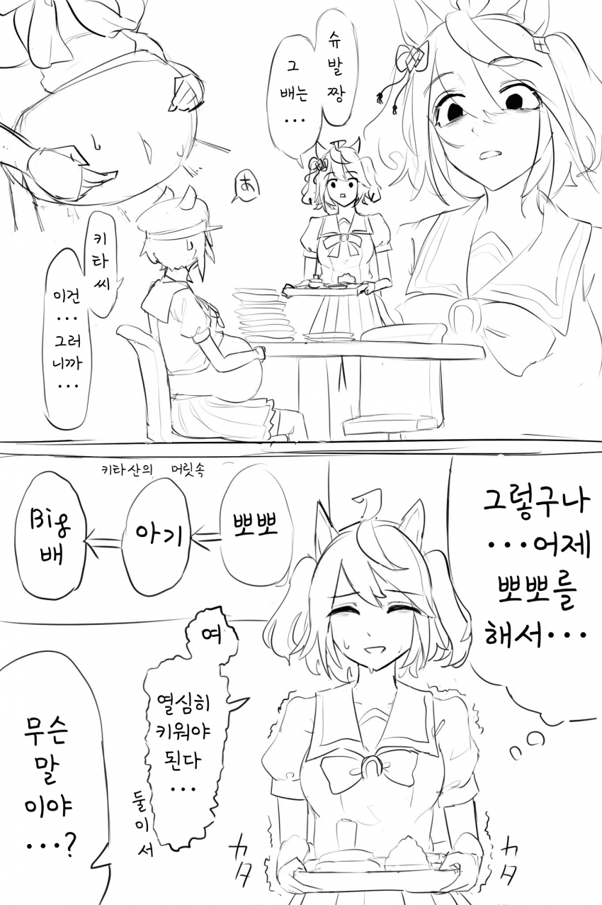[ささ舟]보태배 슈발을 본 키타산
