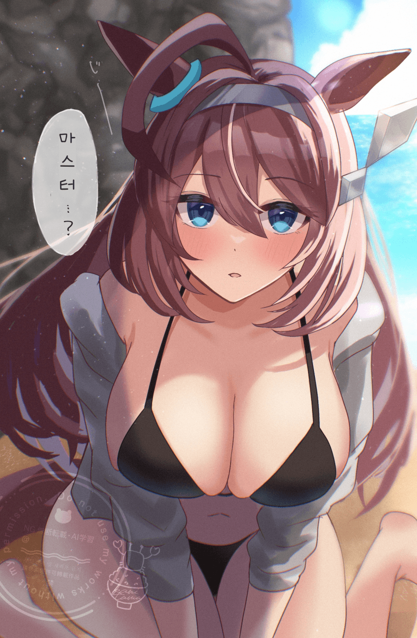 [かにたま]바닷가 바위 뒤편에서 부르봉과