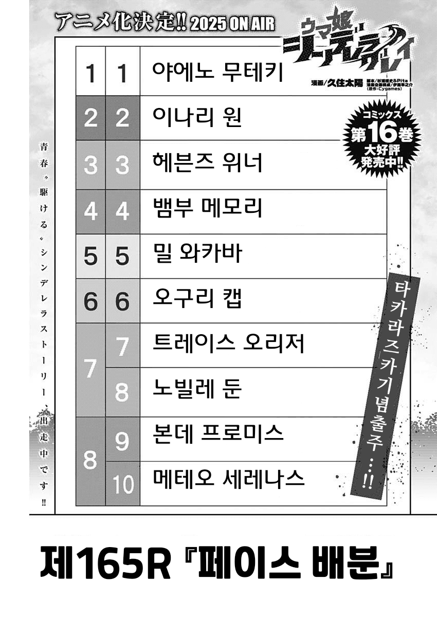 신데렐라 그레이 165R