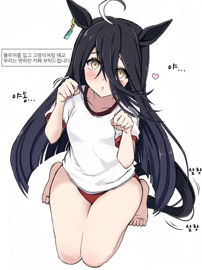 [ここら]블루머 카페
