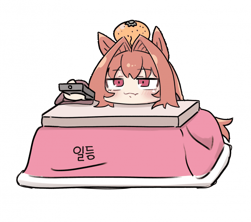 [はいぜん]코타츠