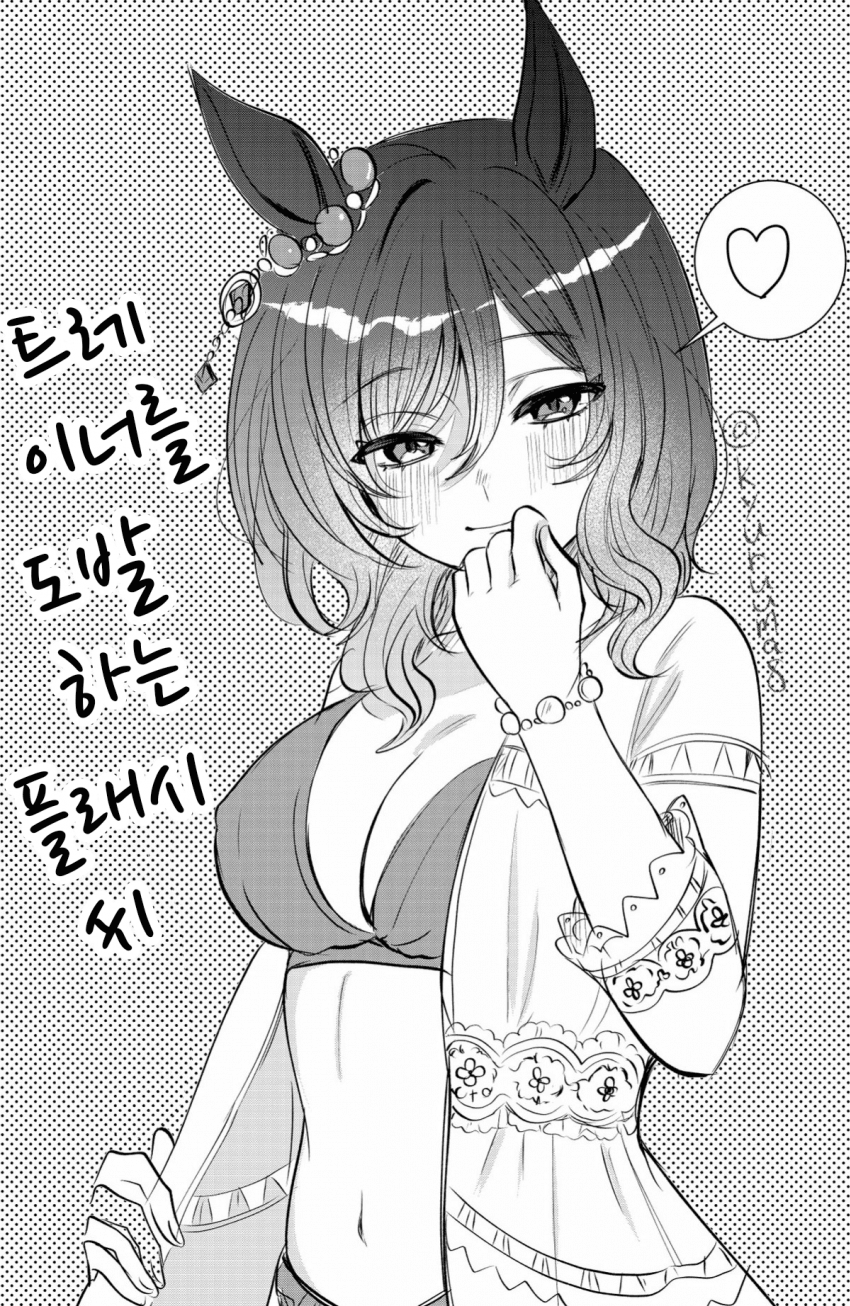 [きゅる]플래시는 도발을 시전했다